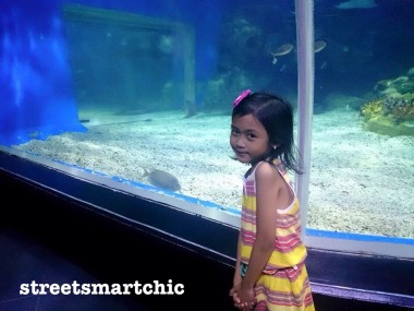 Visit Manila Ocean Park this Summer